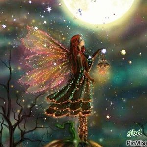 Meet your Posher, Bertie